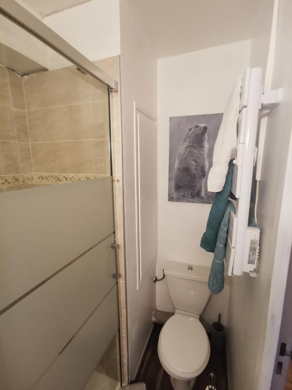 La Cabane Apartment in Chamonix