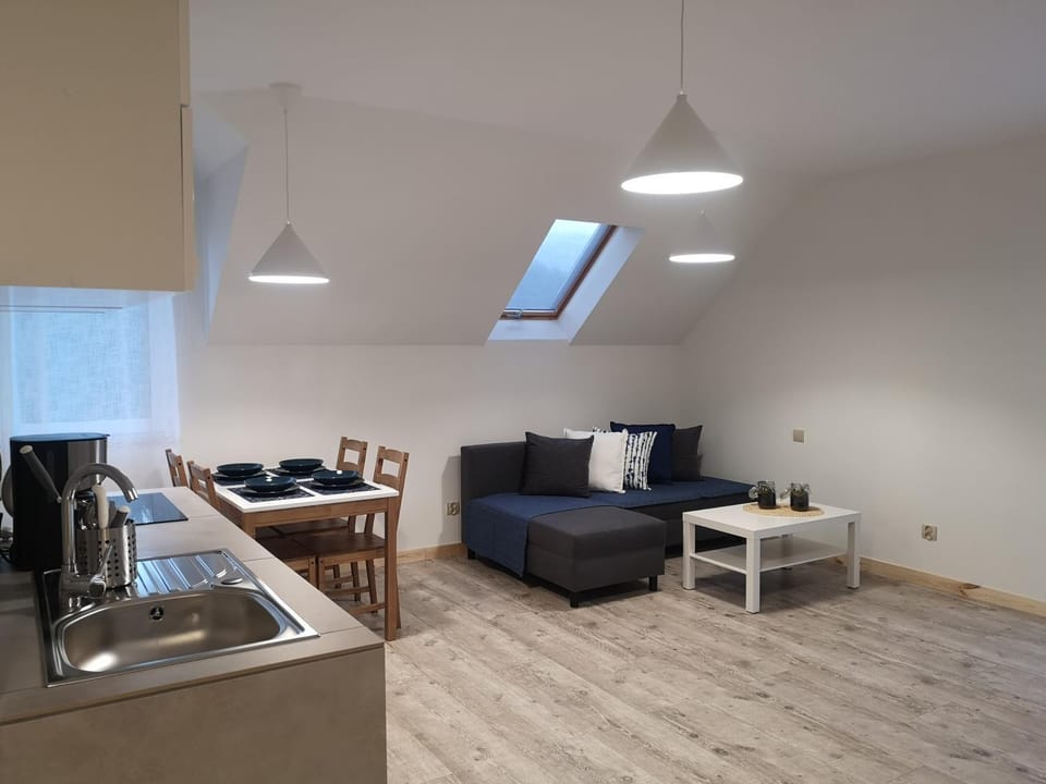 ApartDębki Apartment in Pomeranian Voivodeship