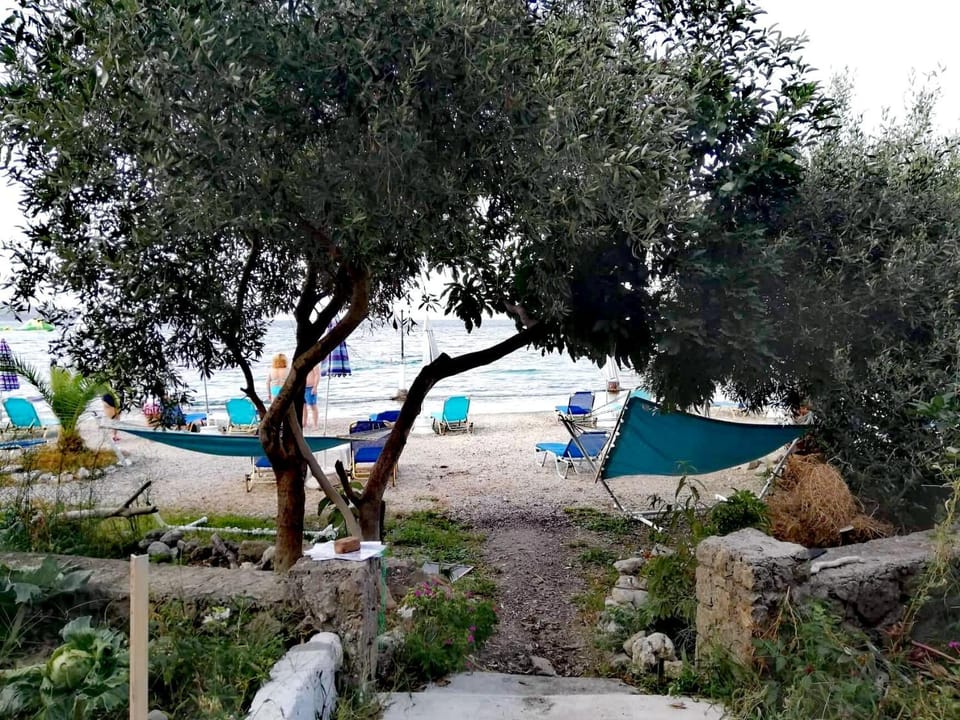 Nearby landmark, Spring, Day, Garden, Beach, Garden view