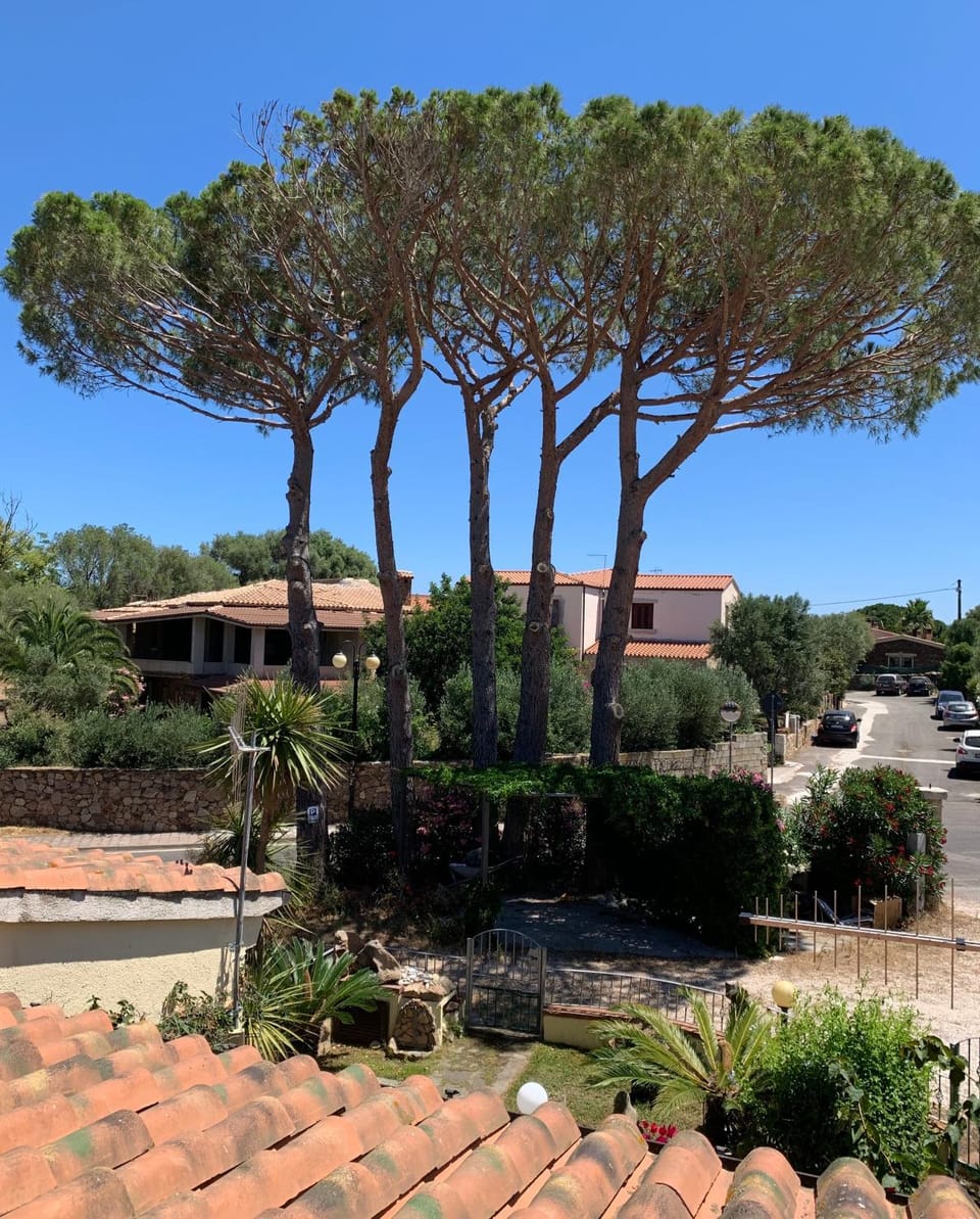 Brezza di Mare Bed and Breakfast in San Teodoro