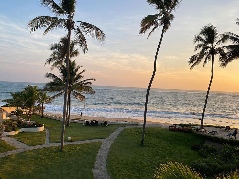 Garden, Sea view, Sunrise