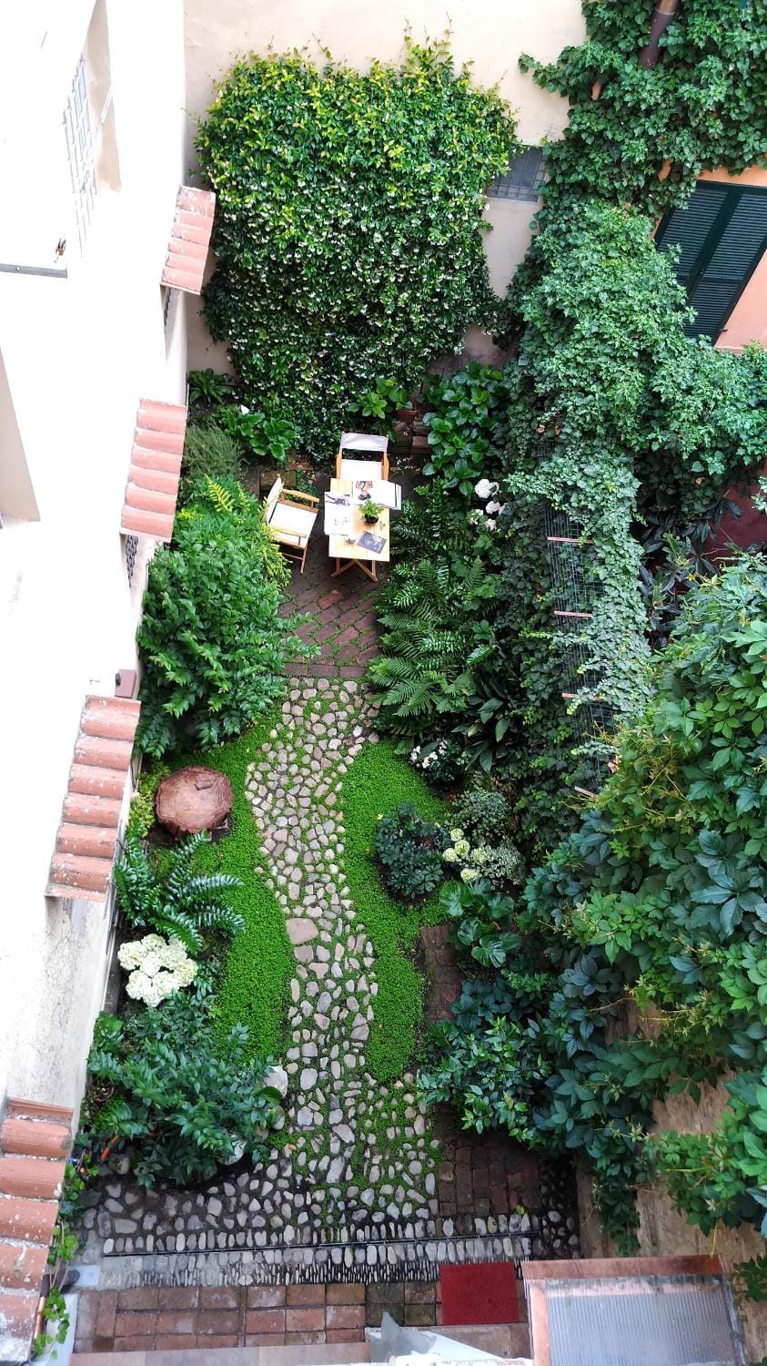 Spring, Garden, Garden view