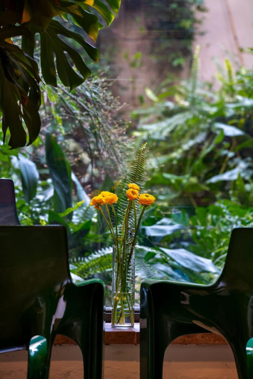 Garden, Garden view