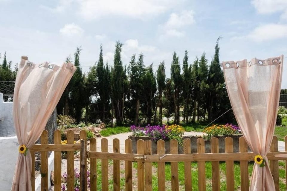 Garden, On site, Garden view