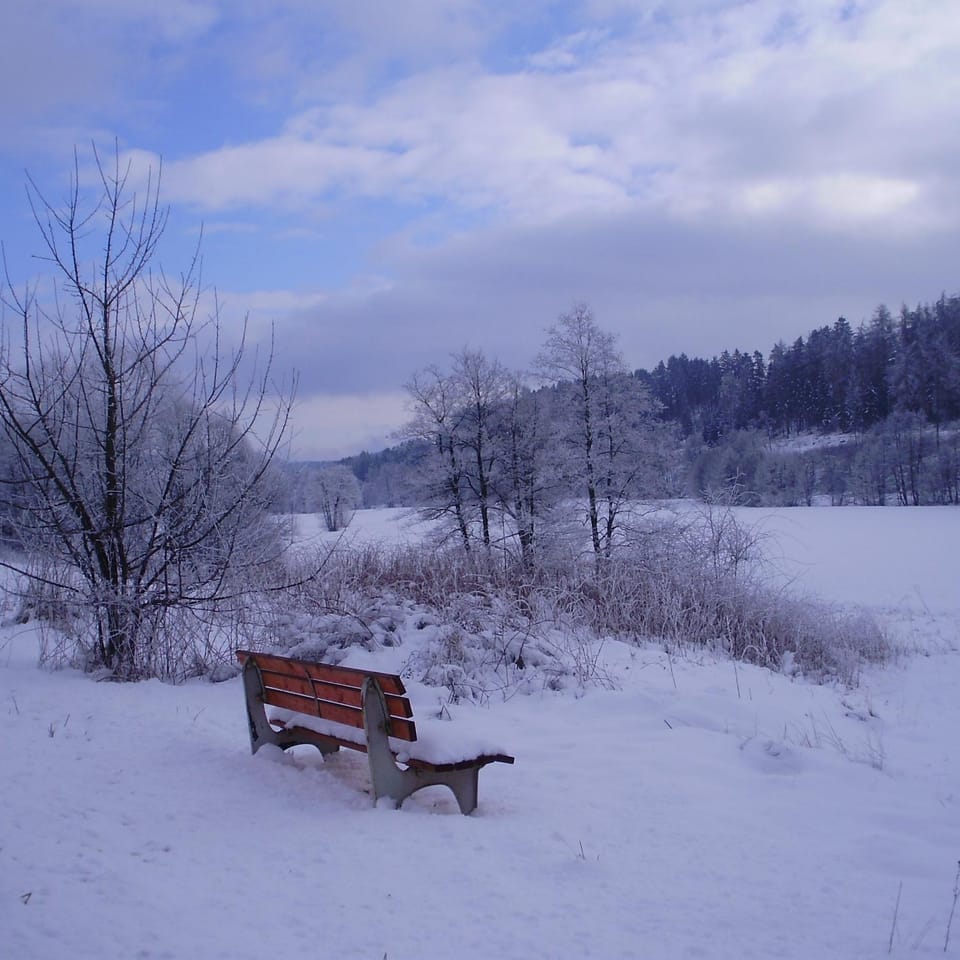 Natural landscape