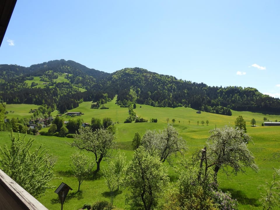 Spring, Natural landscape