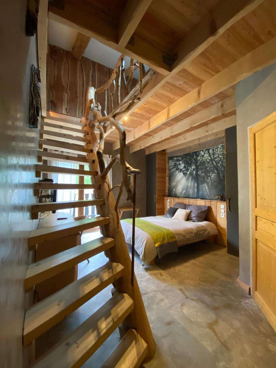 Bed, Photo of the whole room