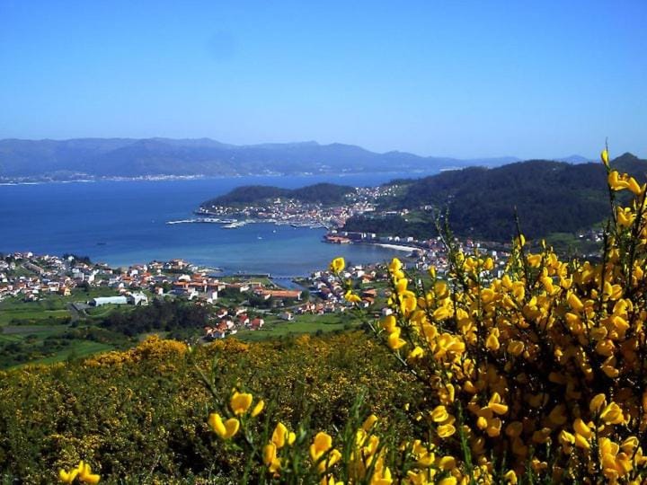 Natural landscape