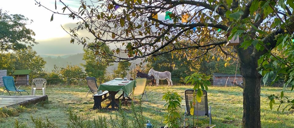 Garden, View (from property/room), Garden view, Mountain view