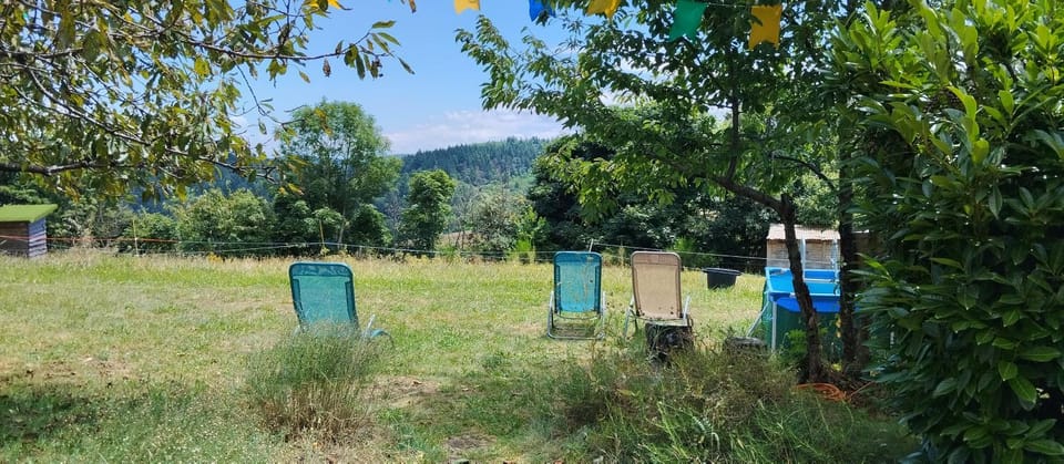 Garden, Mountain view, Mountain view