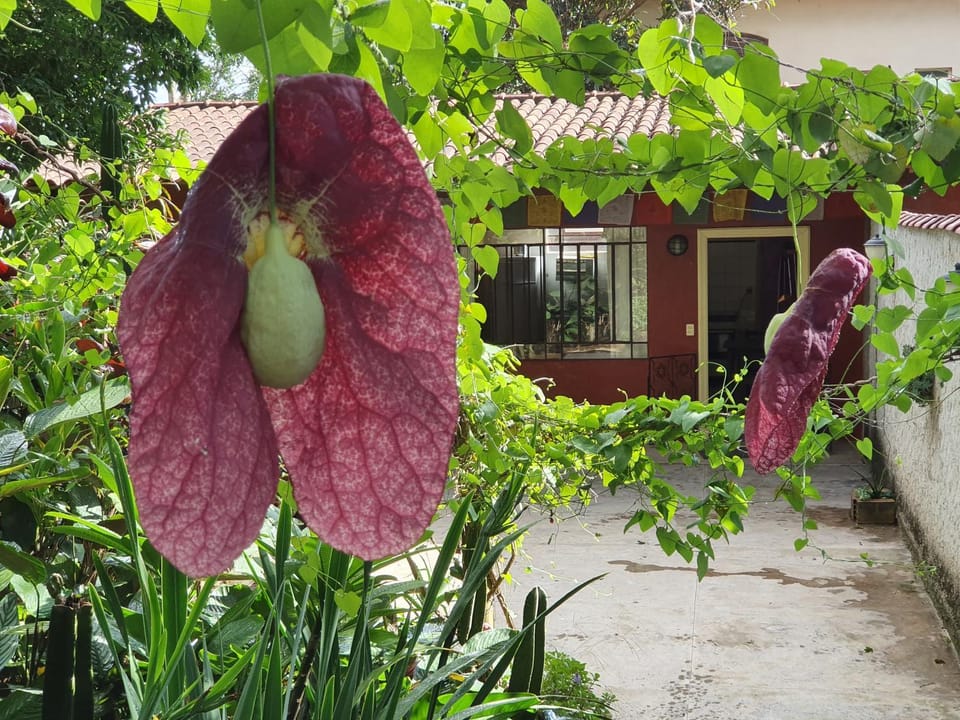 "Chalé Balines Oroboro" 1 - Casa com jardim de 150 m e cozinha completa em Macacos Nature lodge in State of Minas Gerais, Brazil