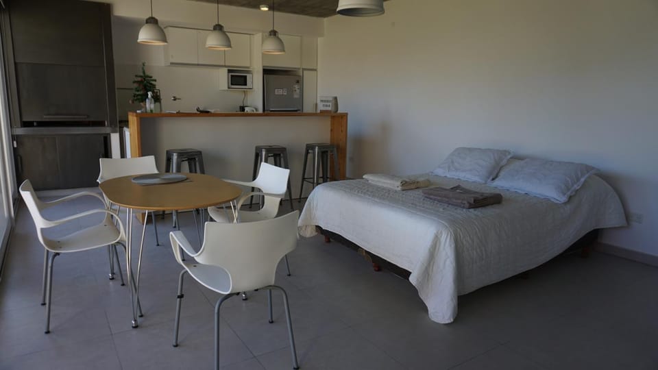 Bed, Kitchen or kitchenette, Living room, Photo of the whole room, Bedroom