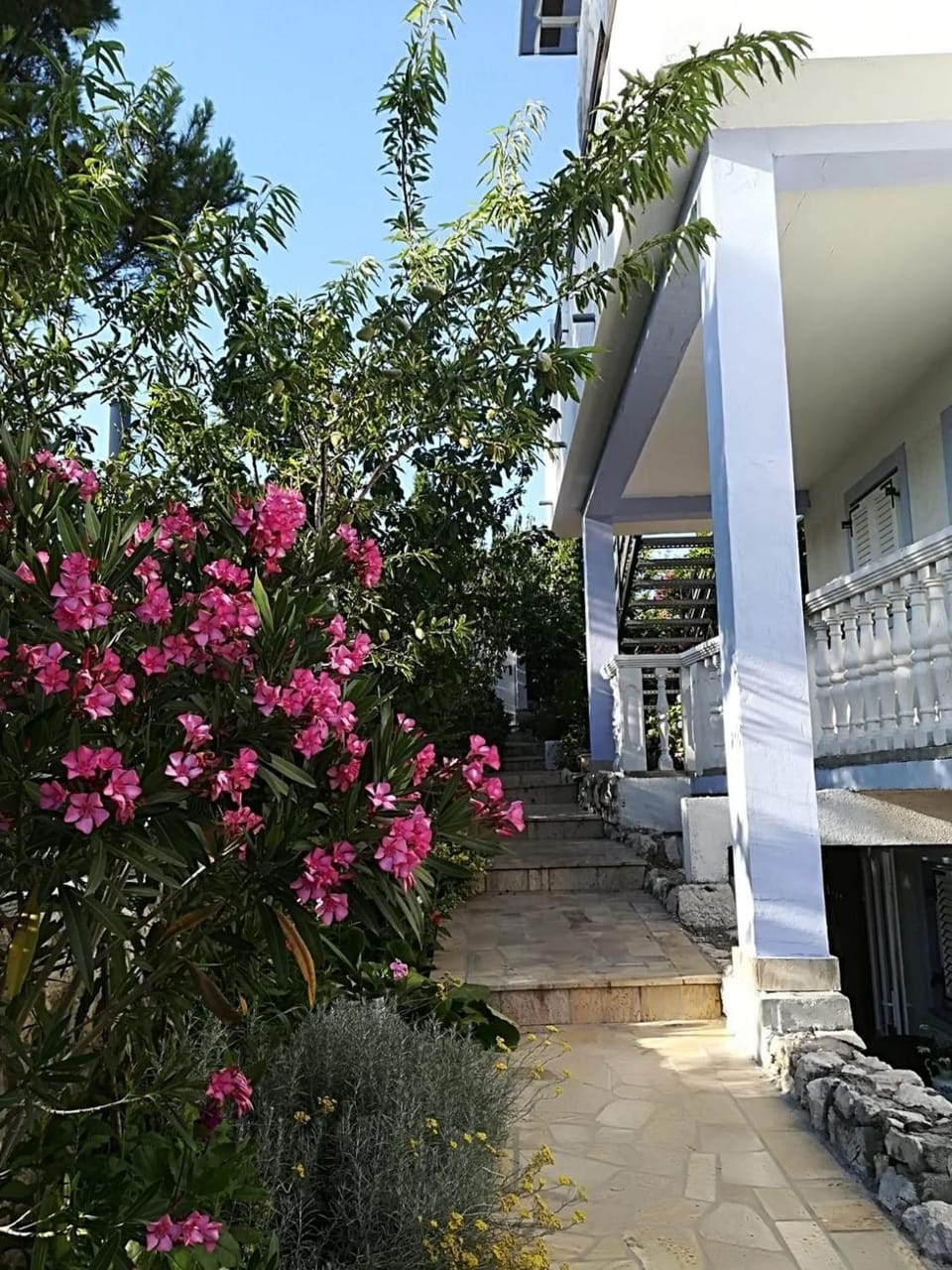 Location, children, Family
