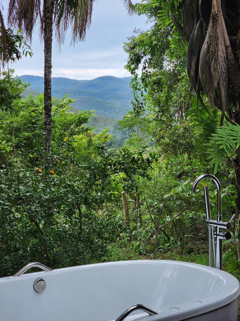 Refúgio no meio da natureza - Chalé Pé de Serra House in State of Goiás