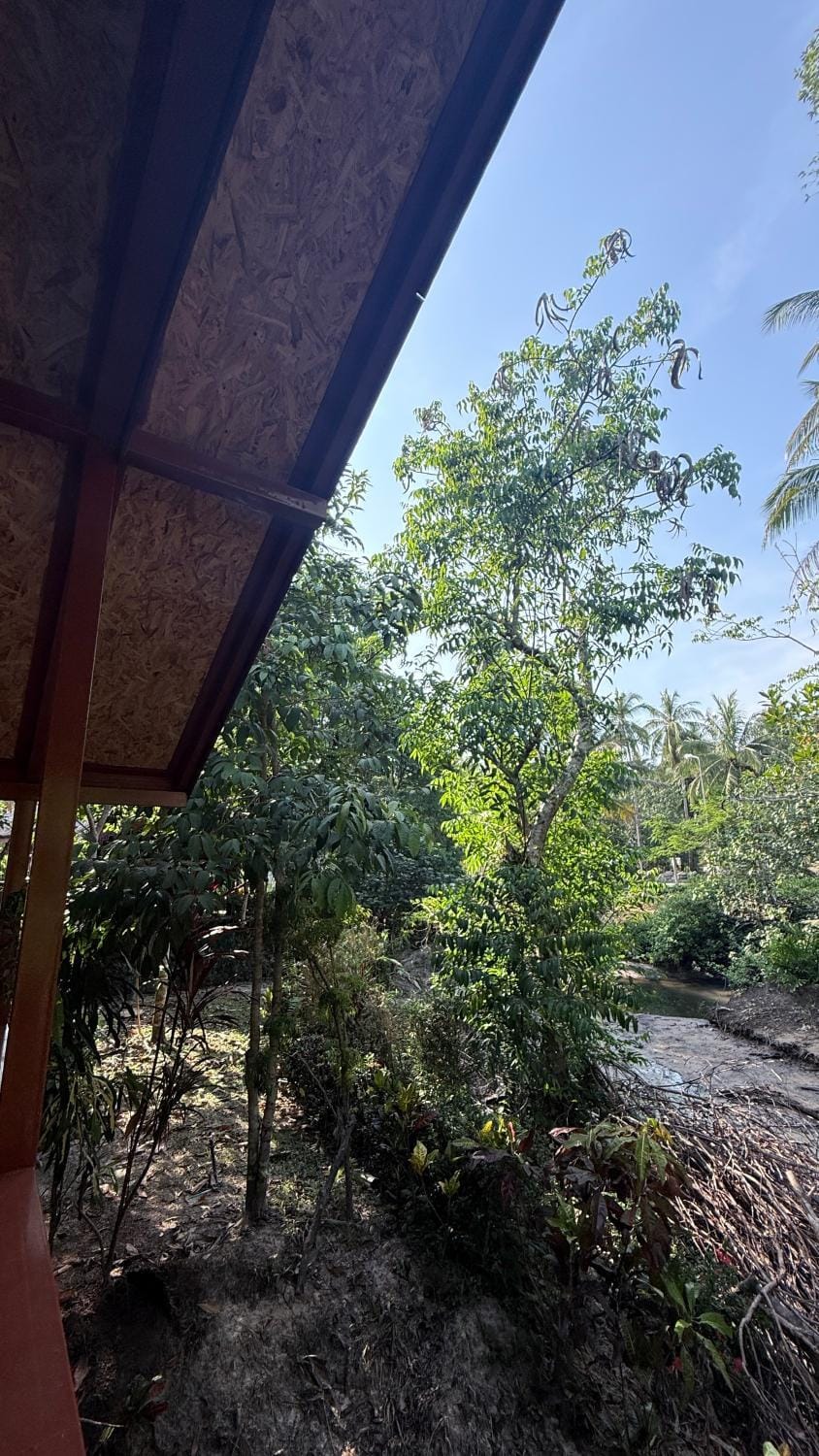 Pink Kangaroo Bungalows Chalet in Trat Changwat