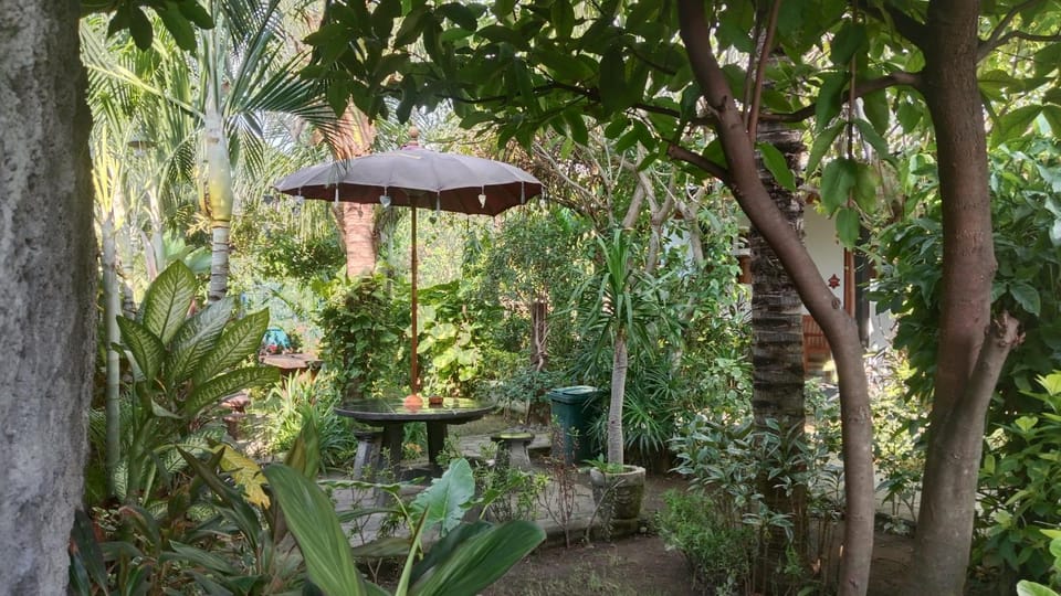 Van Santri Homestay Pemuteran Vacation rental in Bali