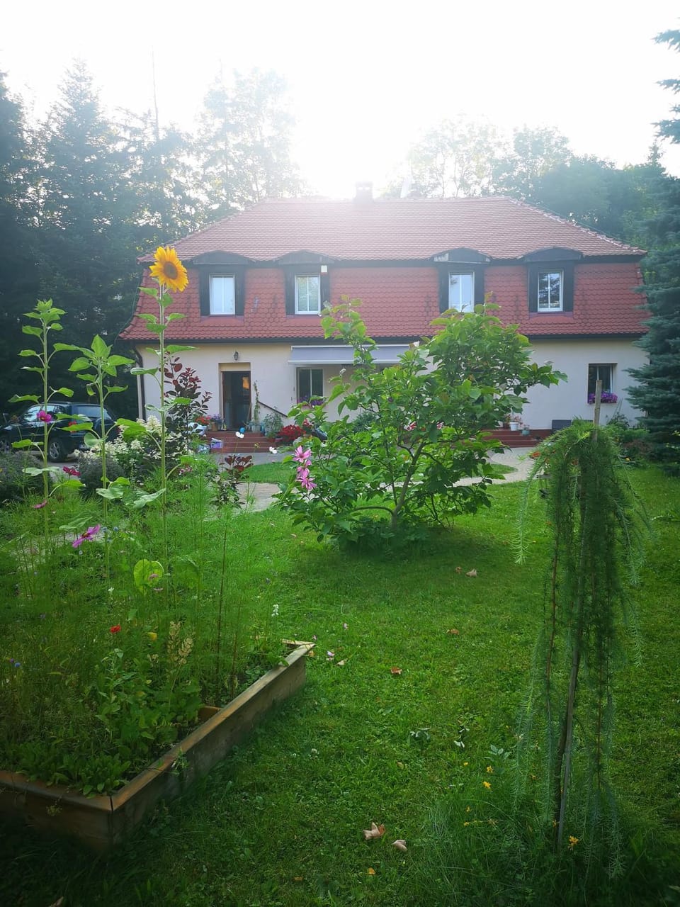 Property building, Natural landscape, Garden view