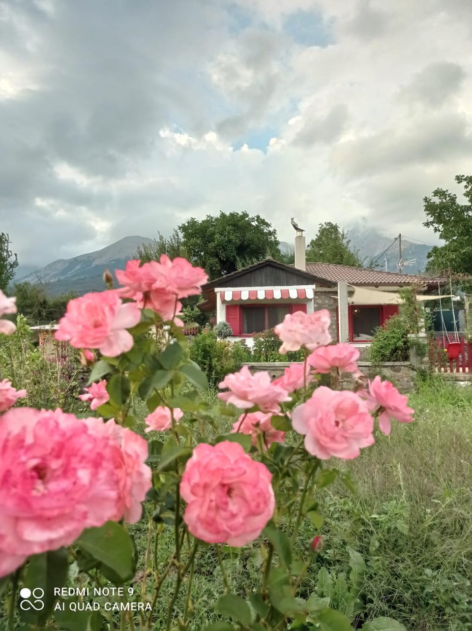 1957 To Rodo kai to Roido Farm Stay in Peloponnese, Western Greece and the Ionian