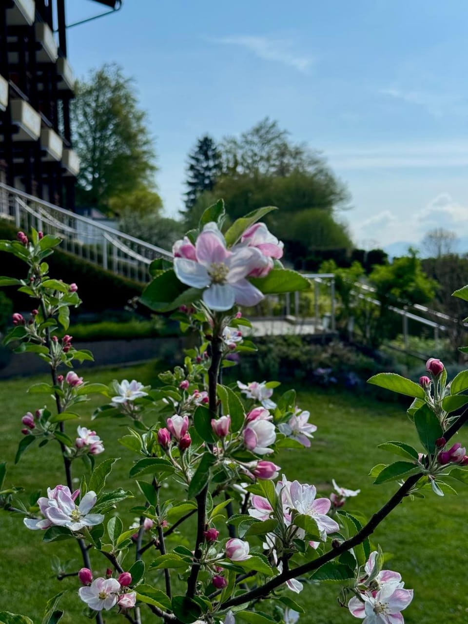Spring, Day, Garden, Garden view