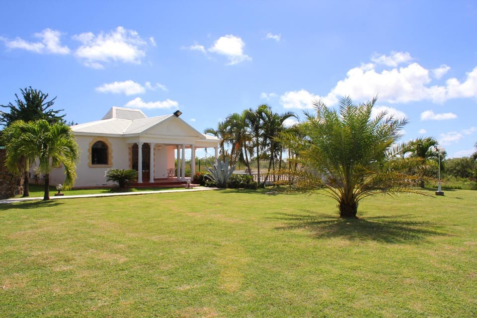 Patio, Garden, Garden view