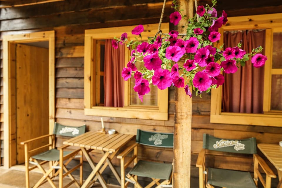 Patio, People, View (from property/room), Balcony/Terrace, Pets, Guests, Mountain view, River view, group of guests, Family
