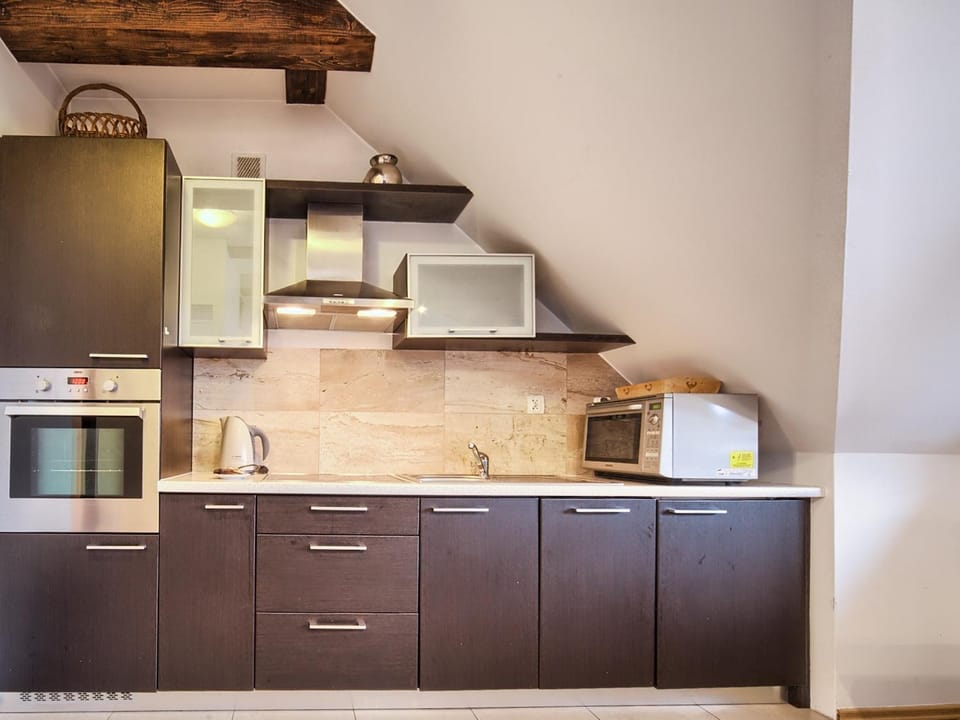Kitchen or kitchenette, minibar, pet friendly, stove