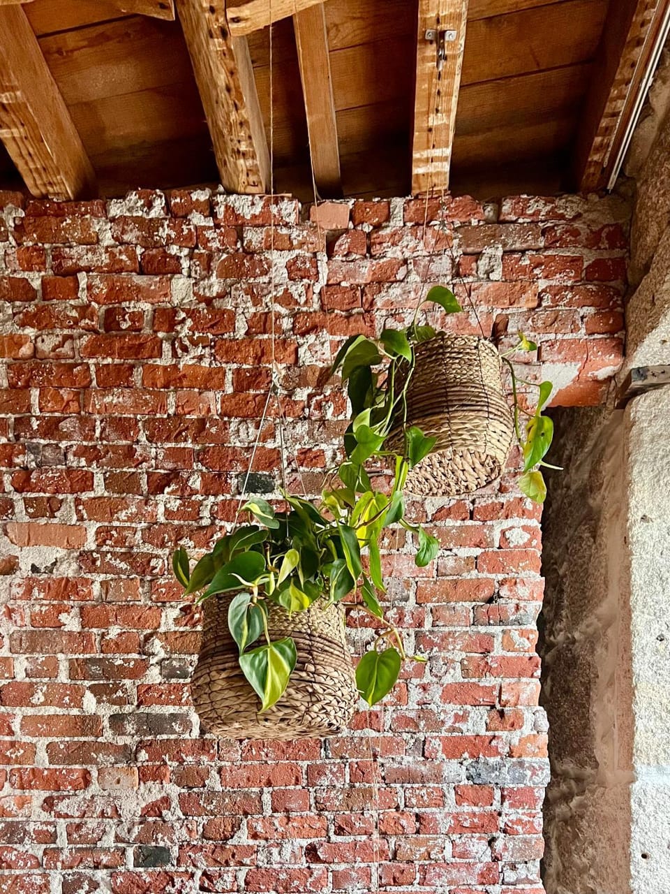 Decorative detail
