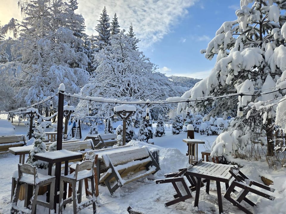 Casa Vlasin Bed and Breakfast in Brasov