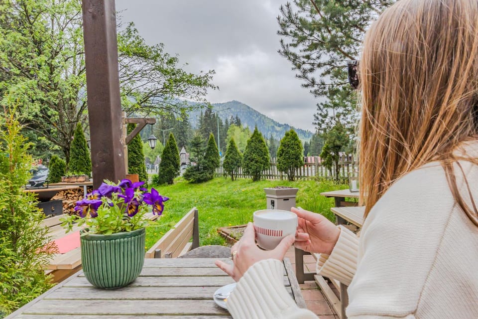 Casa Vlasin Bed and Breakfast in Brasov