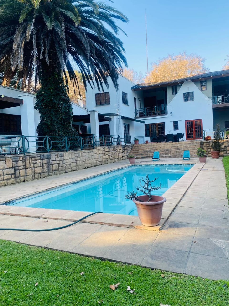 Garden view