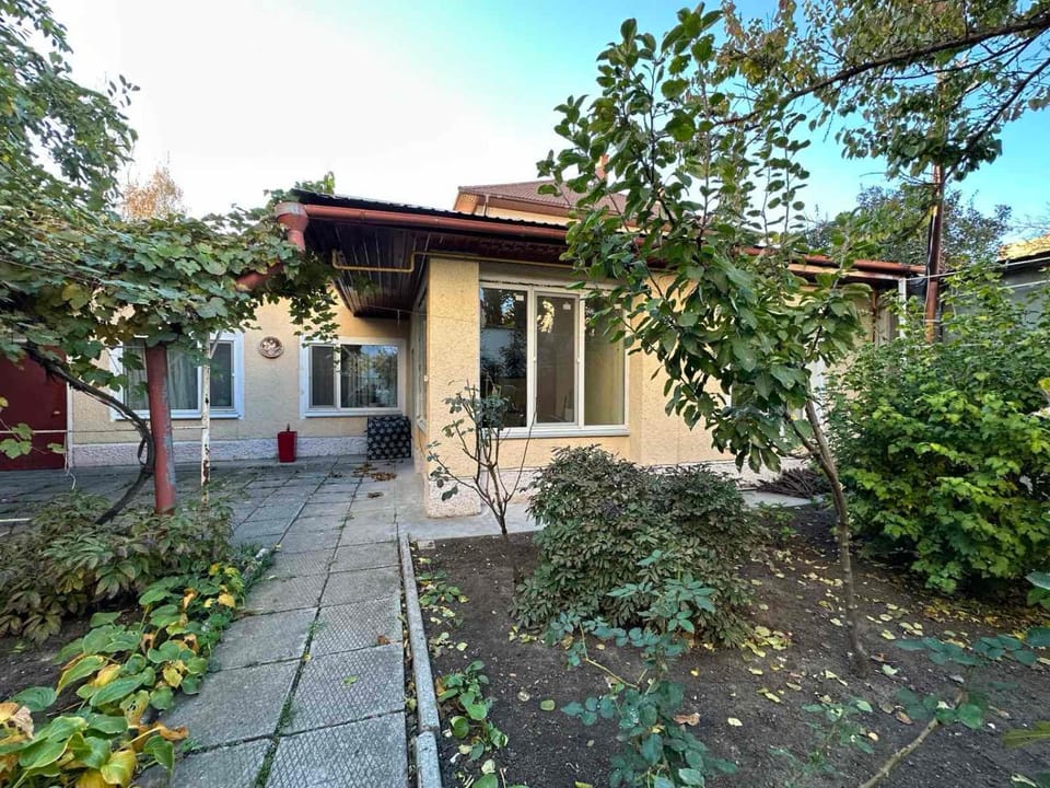 Property building, Day, Garden view