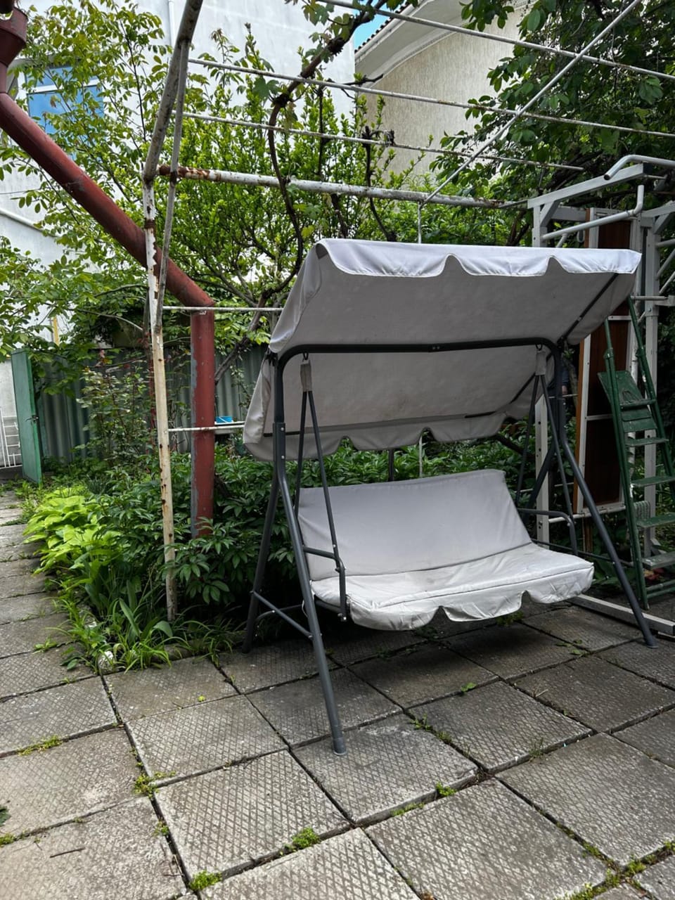 Day, Garden, Garden view