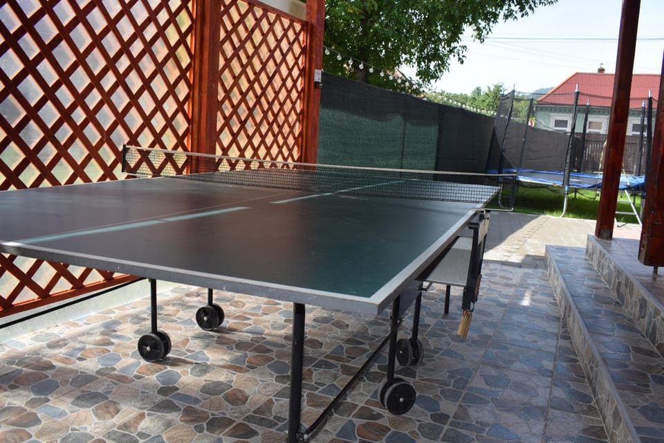 Table tennis