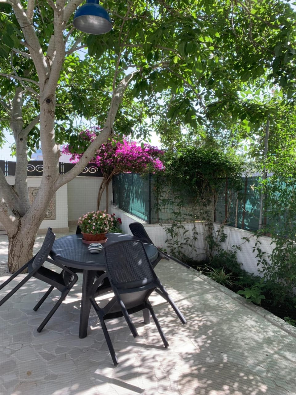 casa La sorgente di Carlo Magno Apartment in Apulia