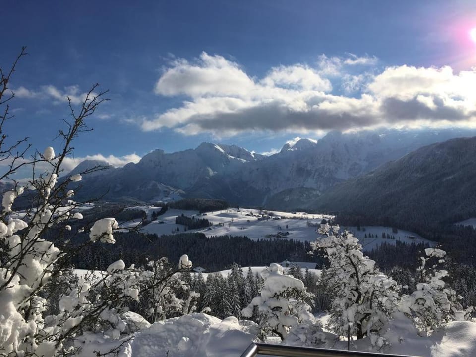 Natural landscape, Winter