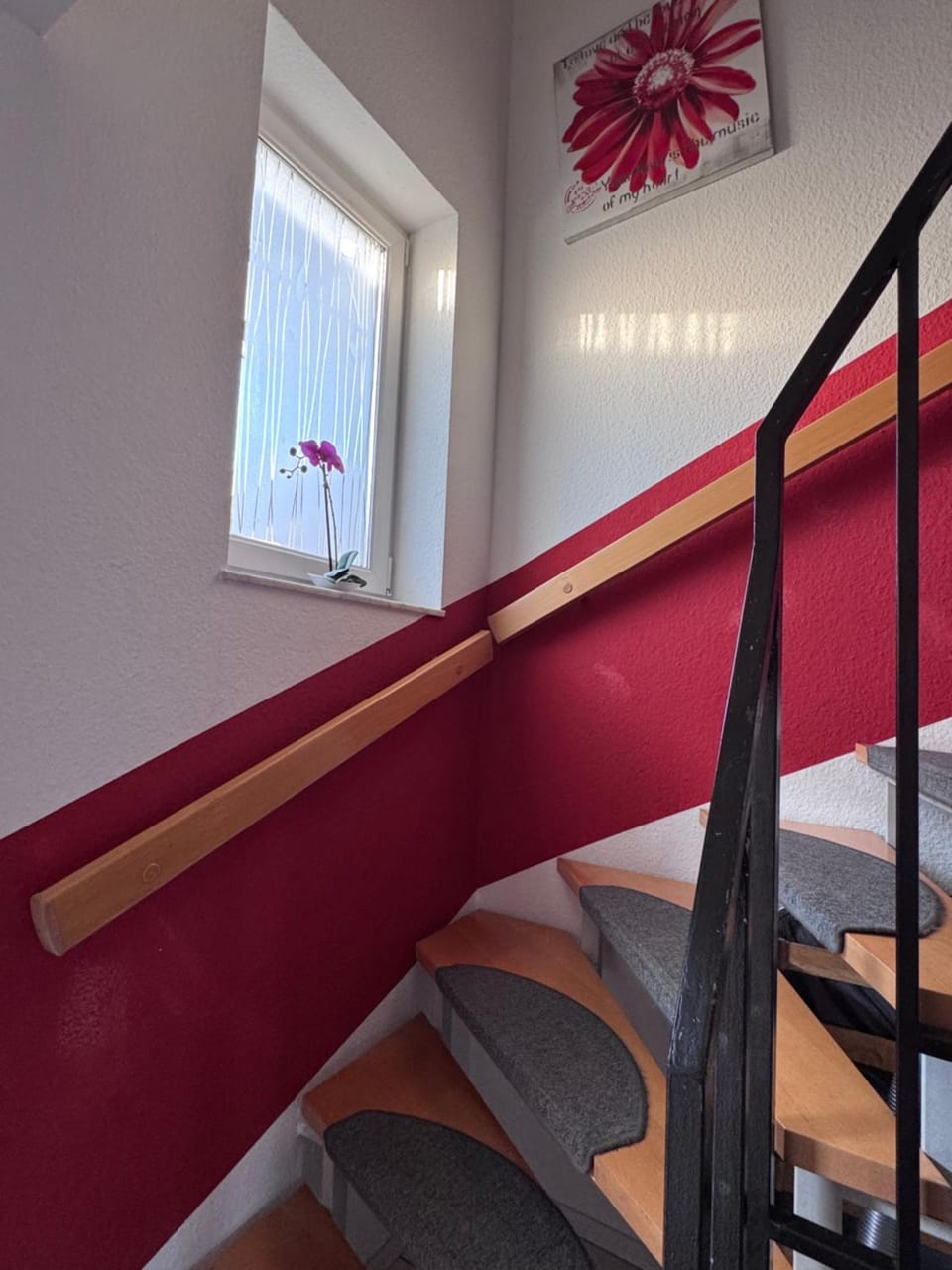 Ferienwohnung Michelle Apartment in Rust