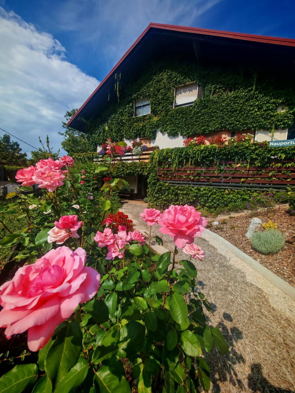 Nauportus Apartment in Slovenia