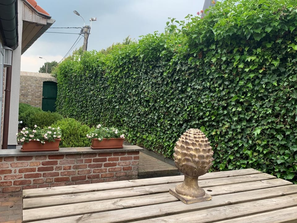Garden, Balcony/Terrace