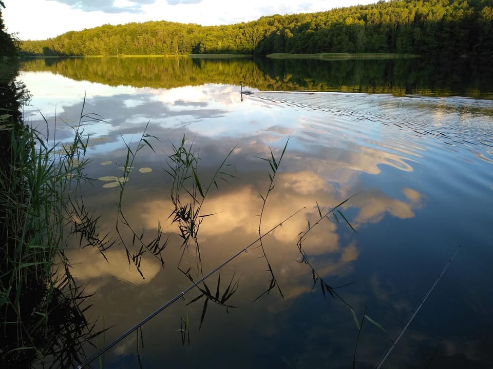 Natural landscape, Hiking, Lake view