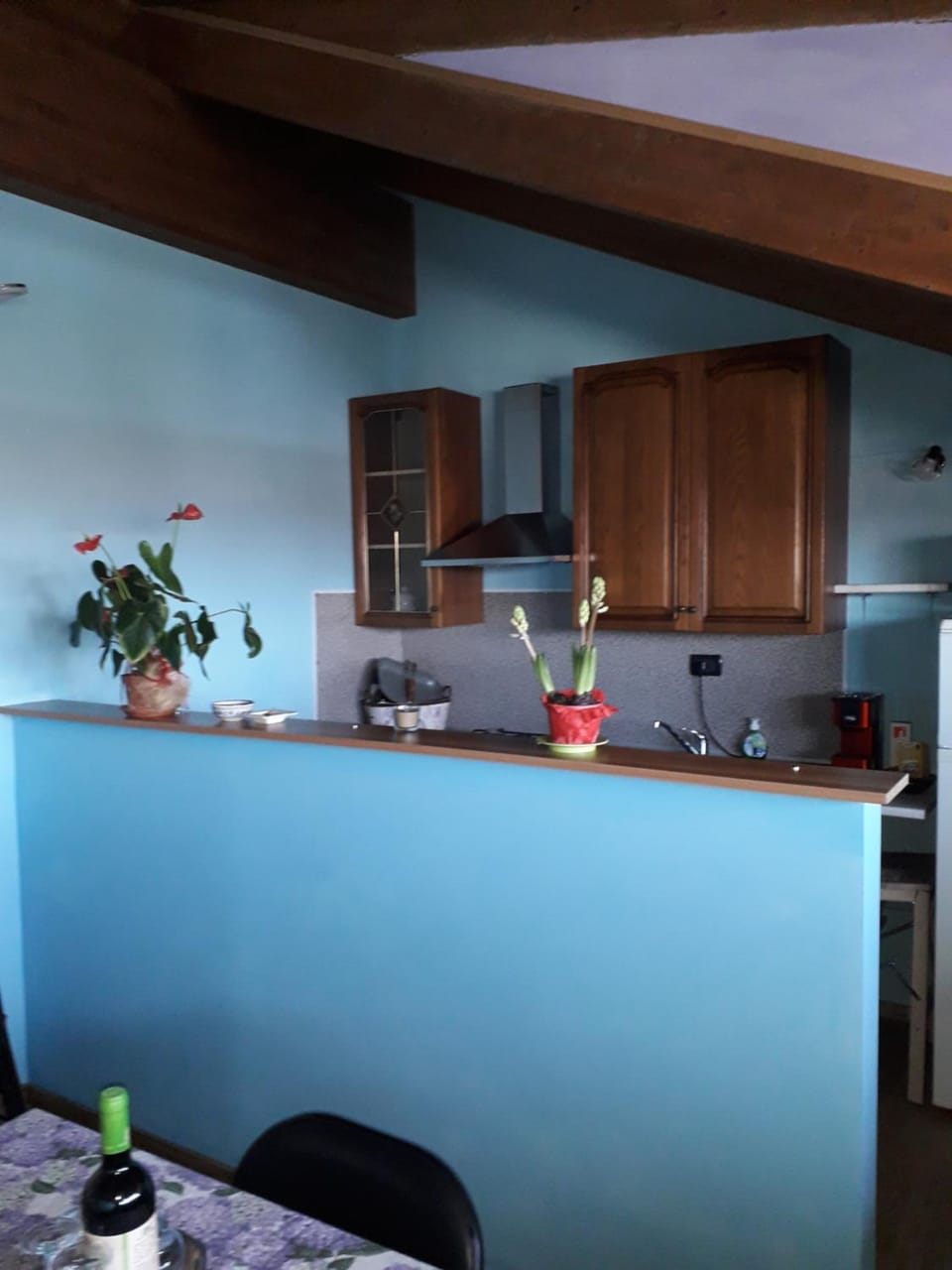 Appartamento LUCE Apartment in Piedmont