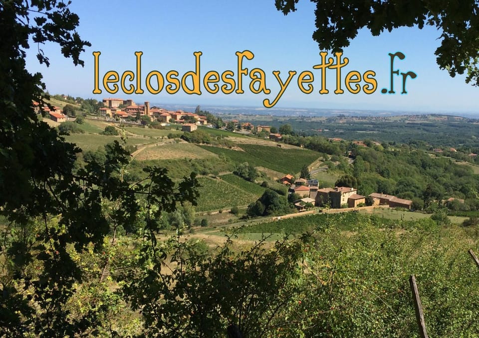 Bird's eye view, View (from property/room), City view