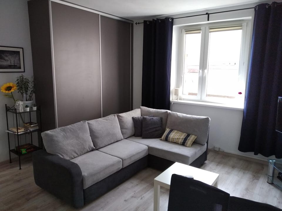 Living room, Photo of the whole room, Seating area