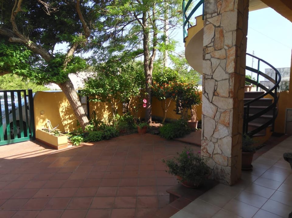 Property building, Garden