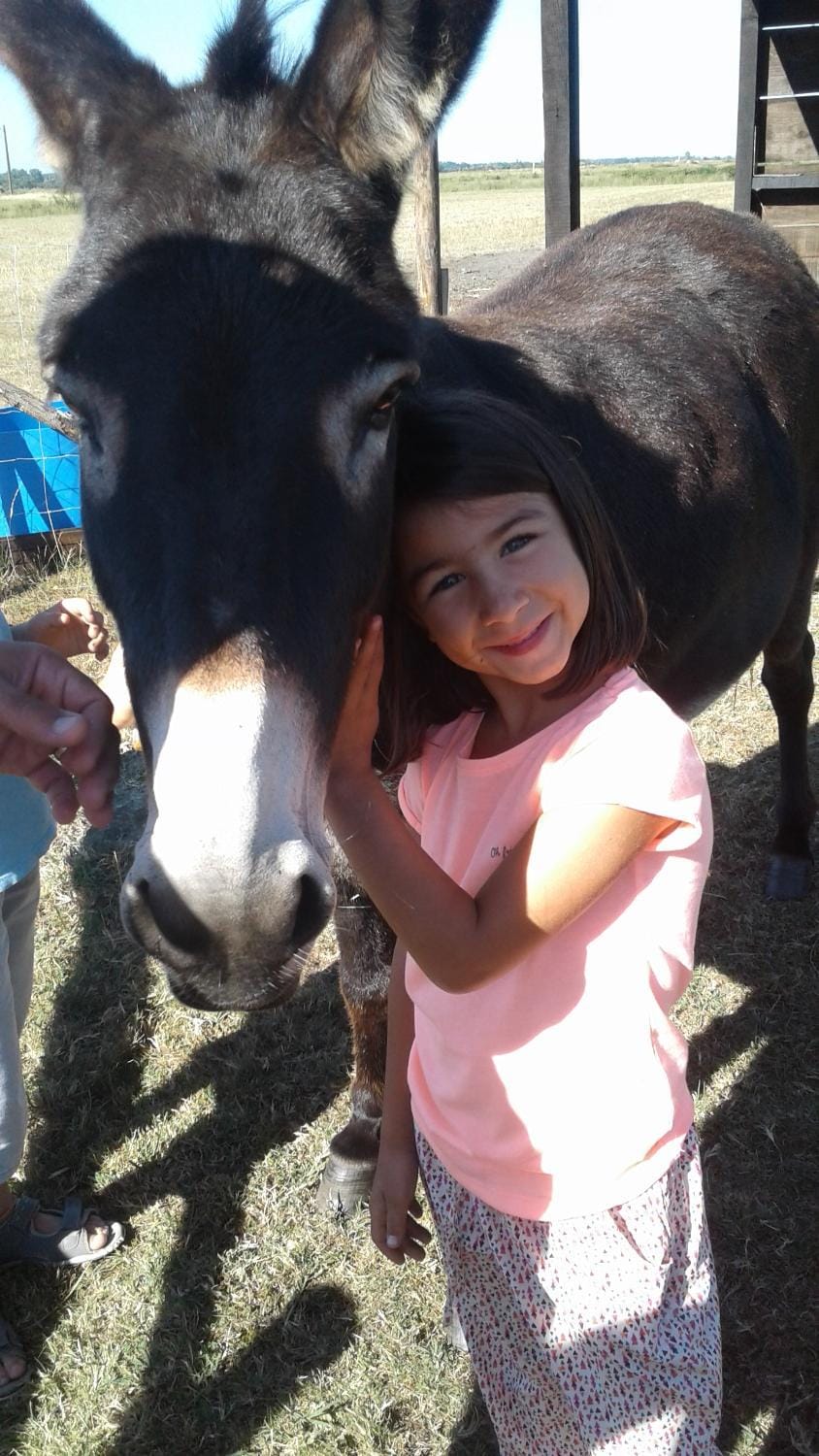 Animals, Pets, children