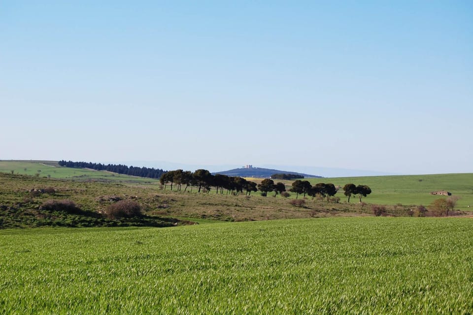 Day, Natural landscape, Other