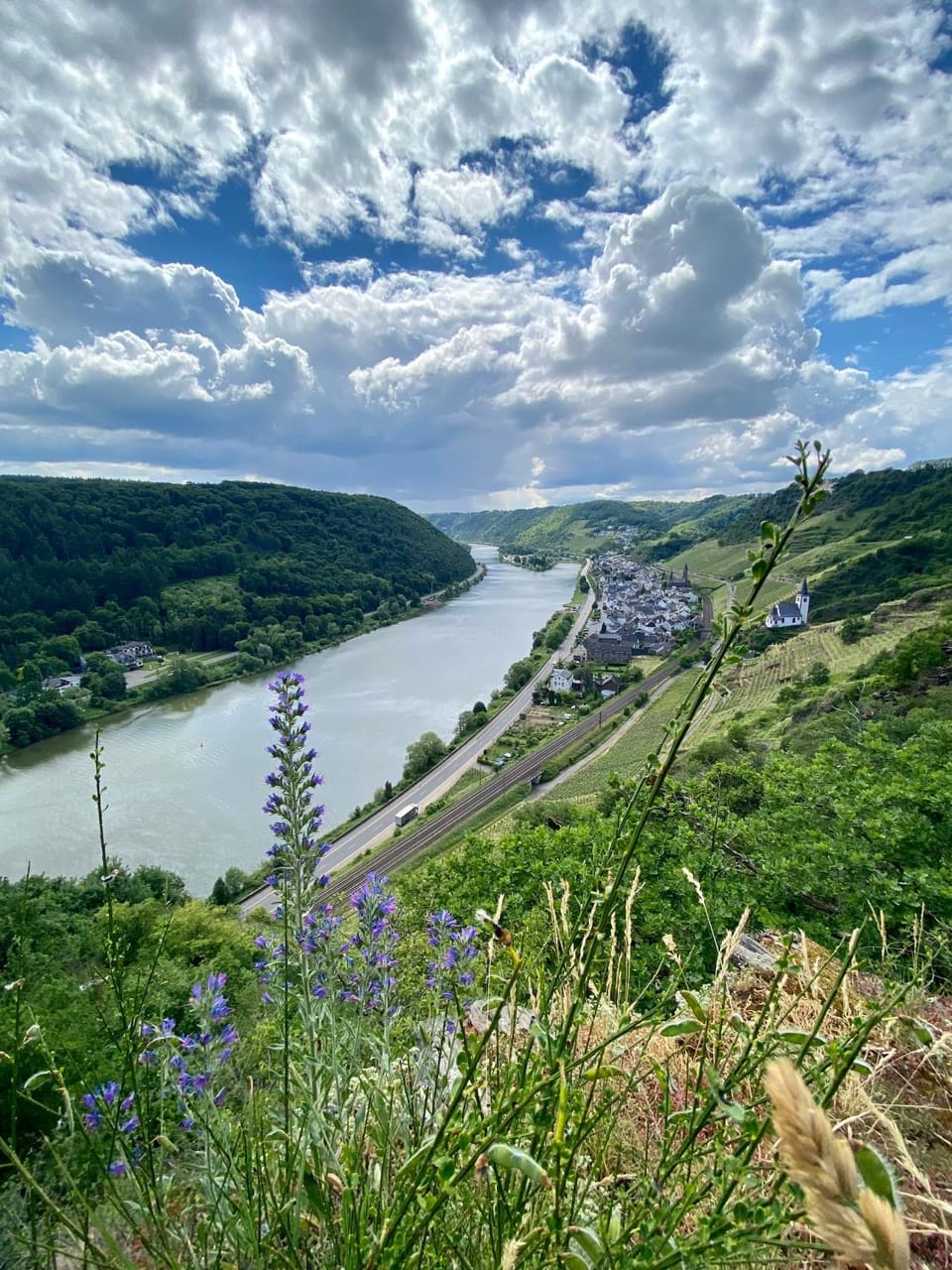 Natural landscape