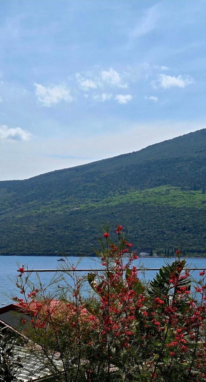 Blue Sea Apartment in Kotor Municipality