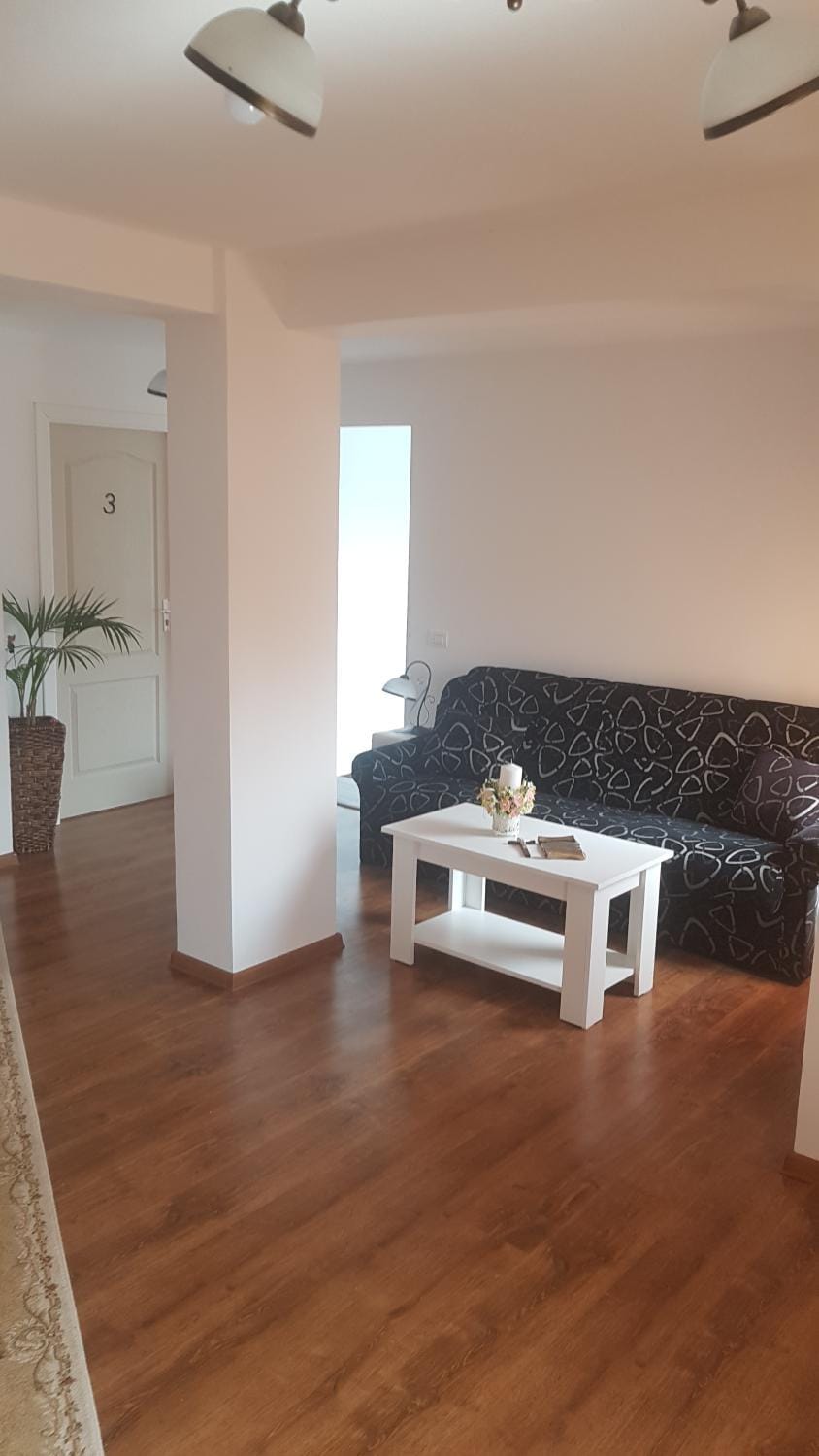Casa Andrei Techirghiol Bed and Breakfast in Constanța County