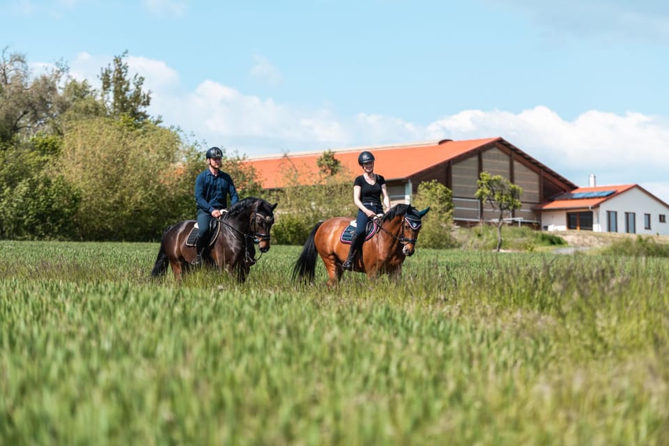 Horse-riding