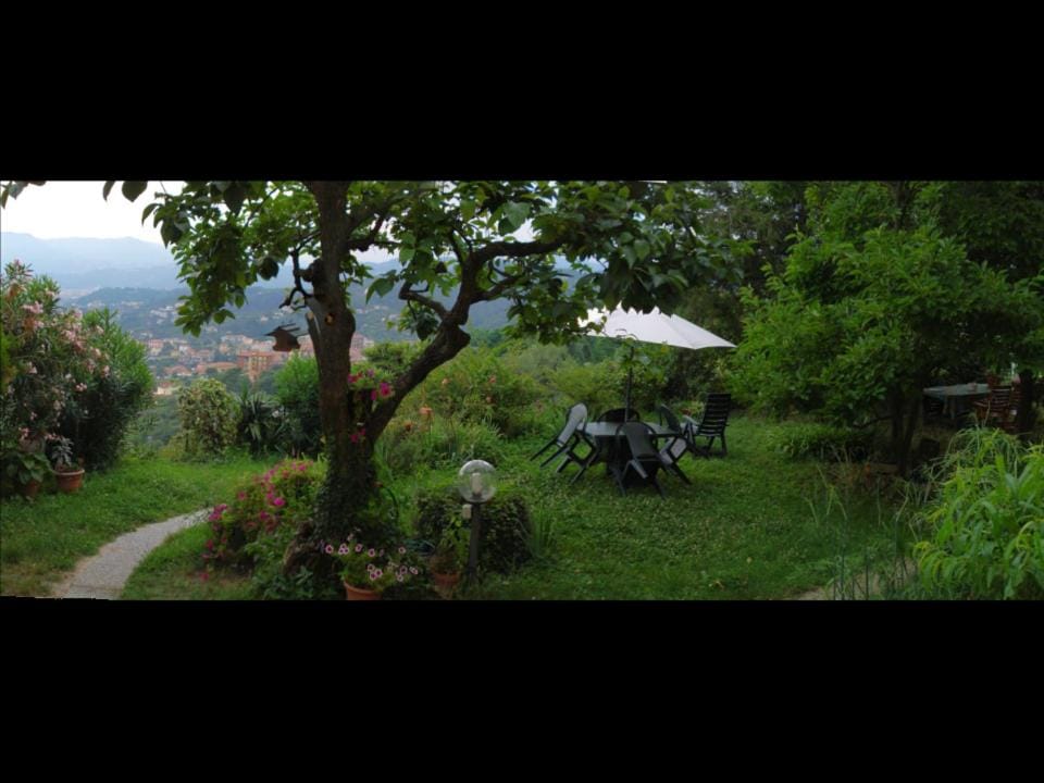 Garden, Garden view